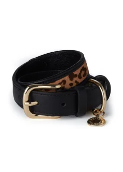 Holland Cooper Dog Collars|Dog Accessories-HC Classic Dog Collar Black & Leopard Pony