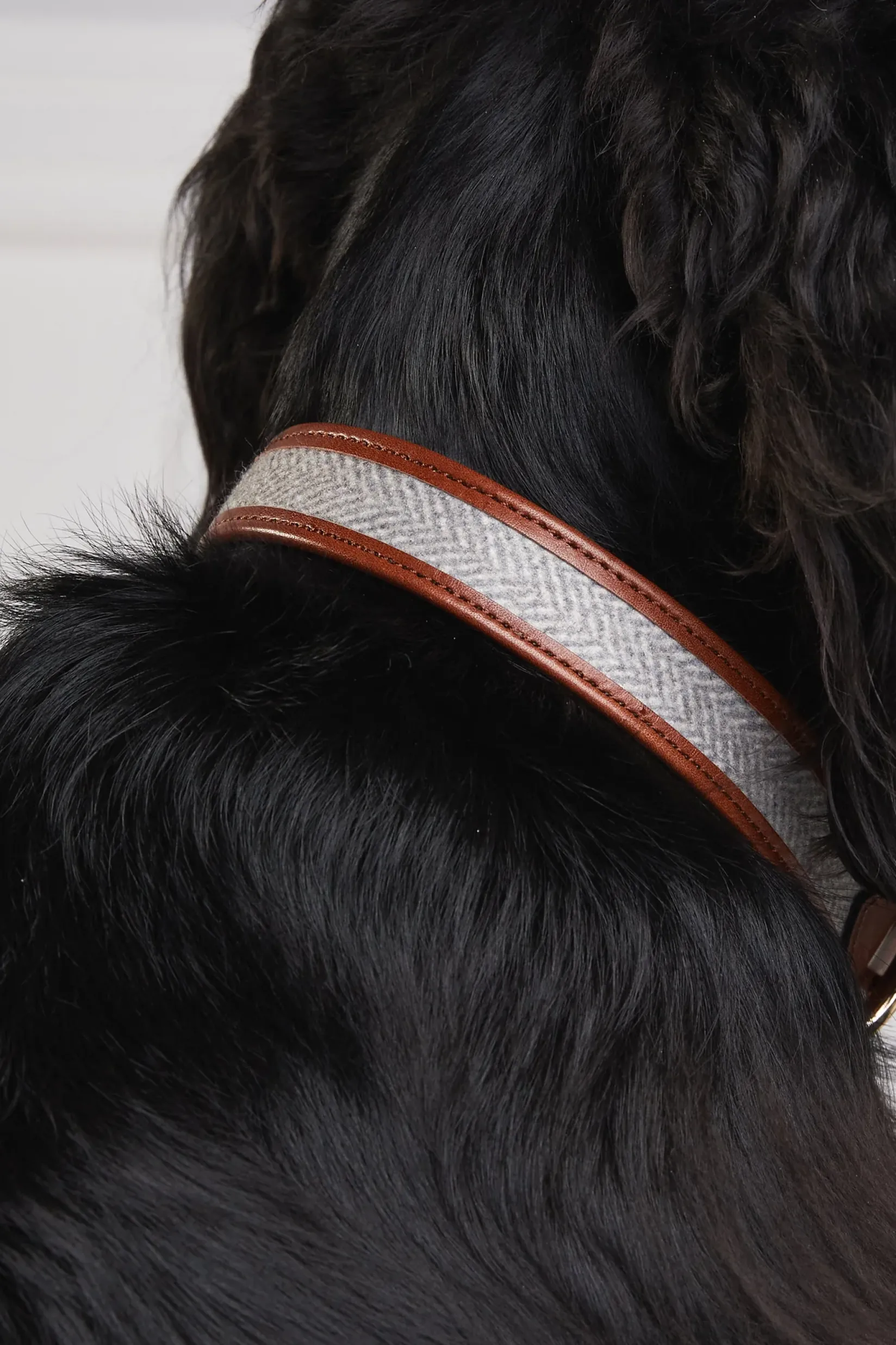 Holland Cooper Dog Collars|Dog Accessories-HC Classic Dog Collar Chestnut & Tweed