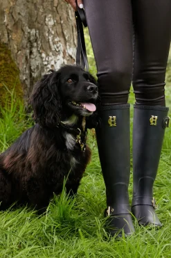 Holland Cooper Dog Collars|Dog Accessories-HC Studded Dog Collar Black