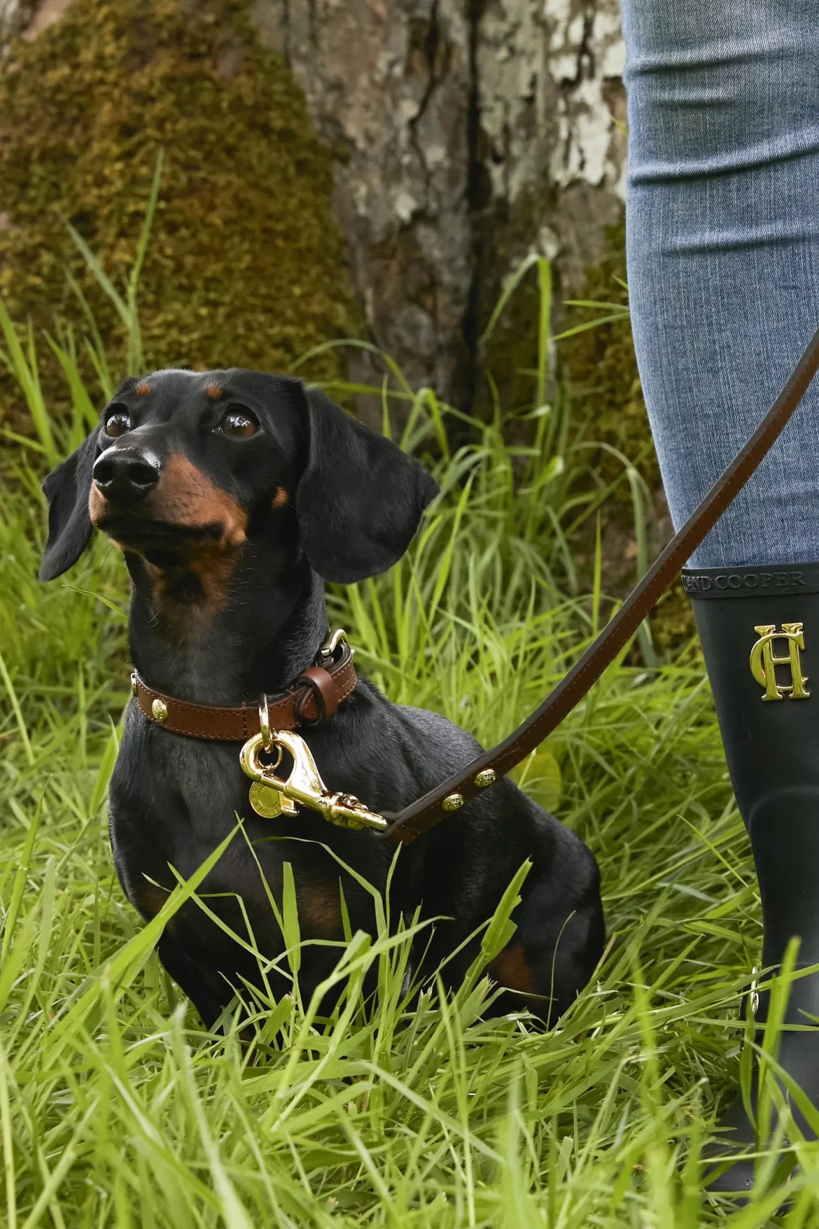 Holland Cooper Dog Collars|Dog Accessories-HC Studded Dog Collar Chestnut